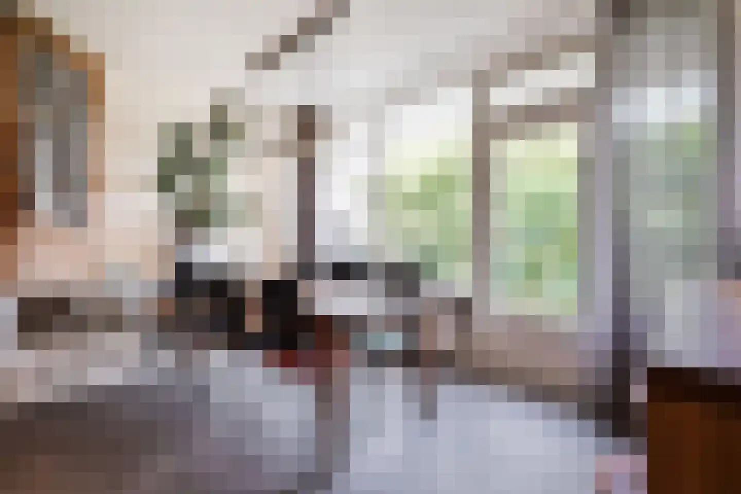 Melis Stokezijde 229 Den Haag thumbnail 17
