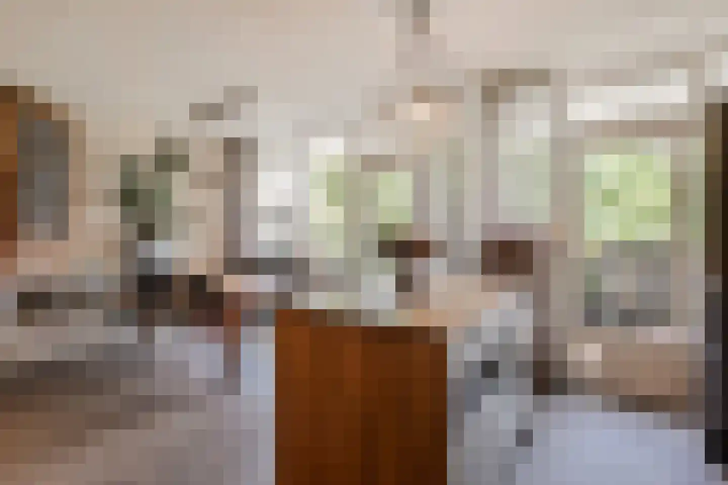 Melis Stokezijde 229 Den Haag thumbnail 18