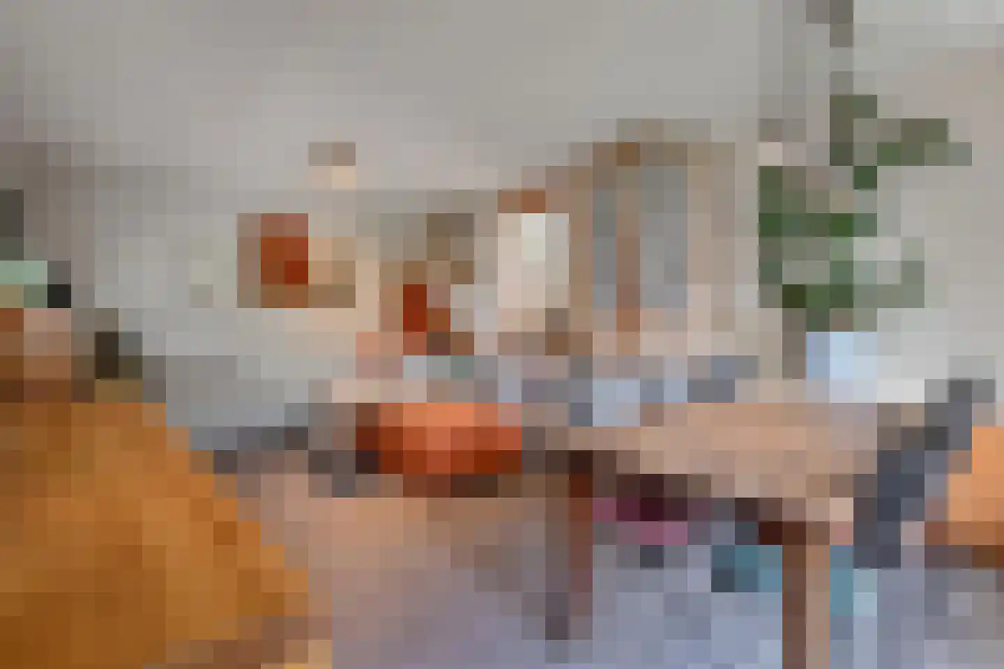 Melis Stokezijde 229 Den Haag thumbnail 20