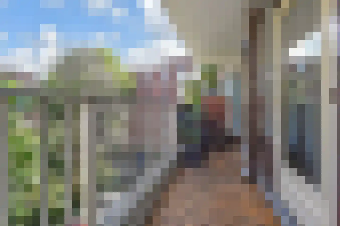 Melis Stokezijde 229 Den Haag thumbnail 22