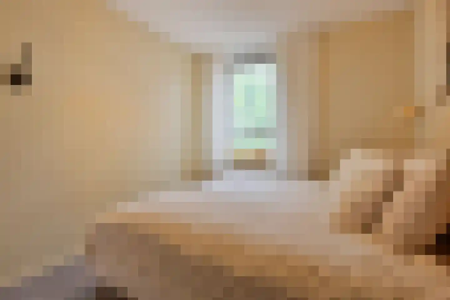 Melis Stokezijde 229 Den Haag thumbnail 30