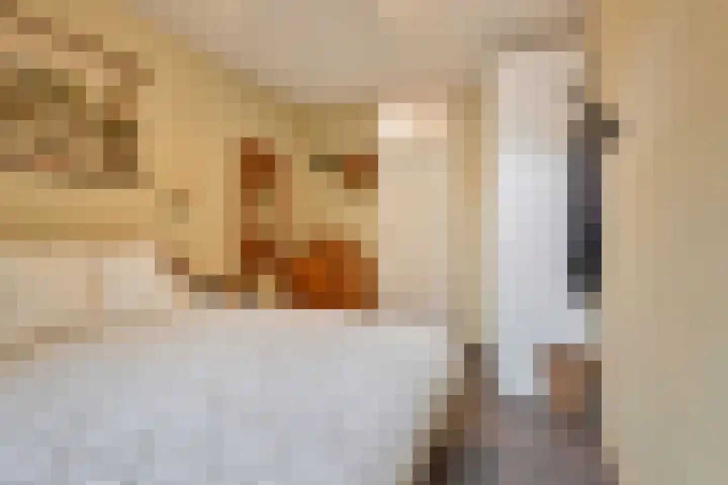 Melis Stokezijde 229 Den Haag thumbnail 31