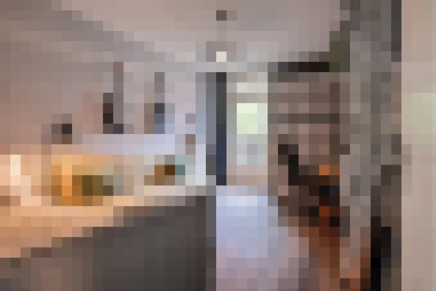 Melis Stokezijde 229 Den Haag thumbnail 32