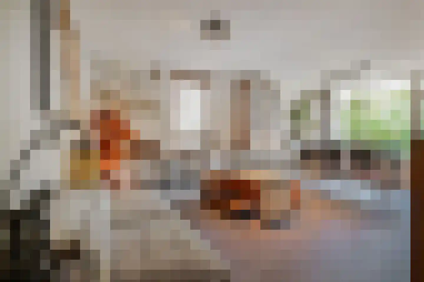 Melis Stokezijde 229 Den Haag thumbnail 34