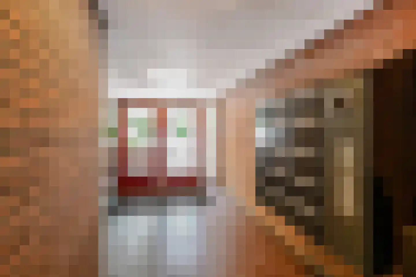 Melis Stokezijde 229 Den Haag thumbnail 39