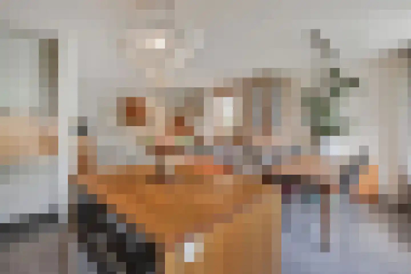 Melis Stokezijde 229 Den Haag thumbnail 4