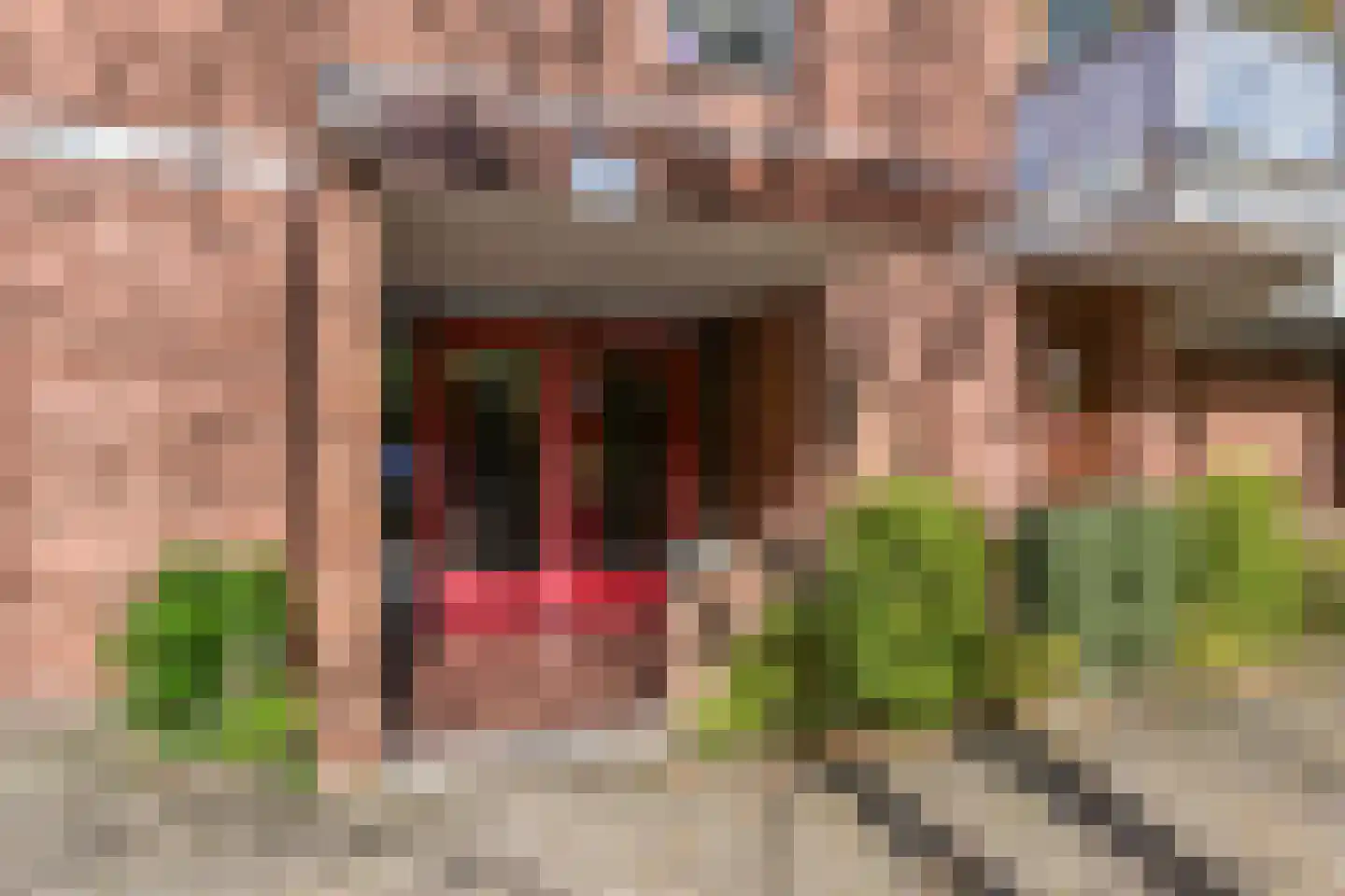 Melis Stokezijde 229 Den Haag thumbnail 8