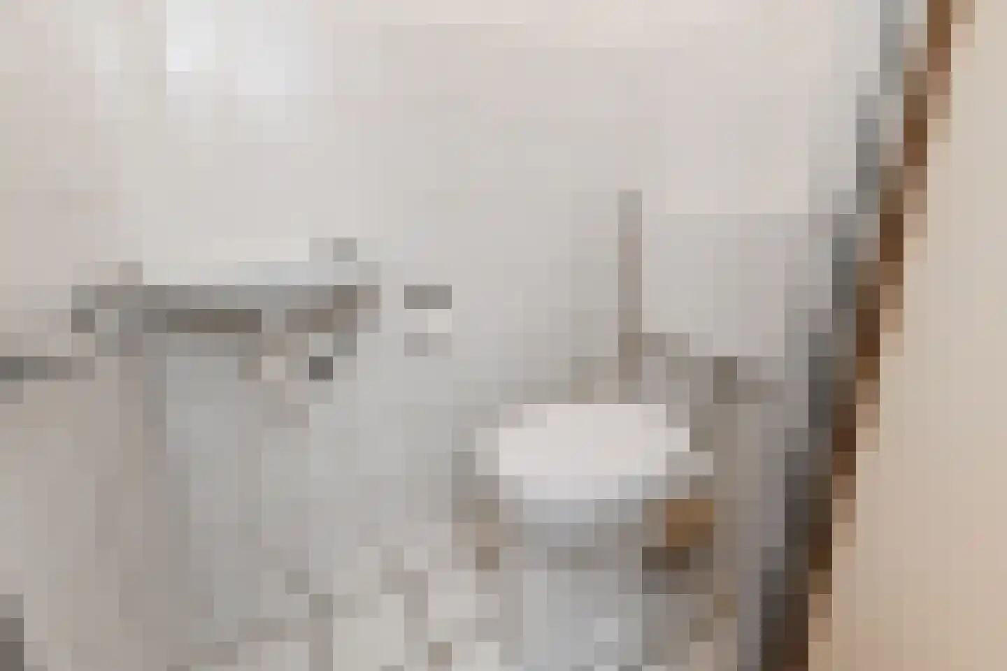 Melis Stokezijde 232 Den Haag thumbnail 10