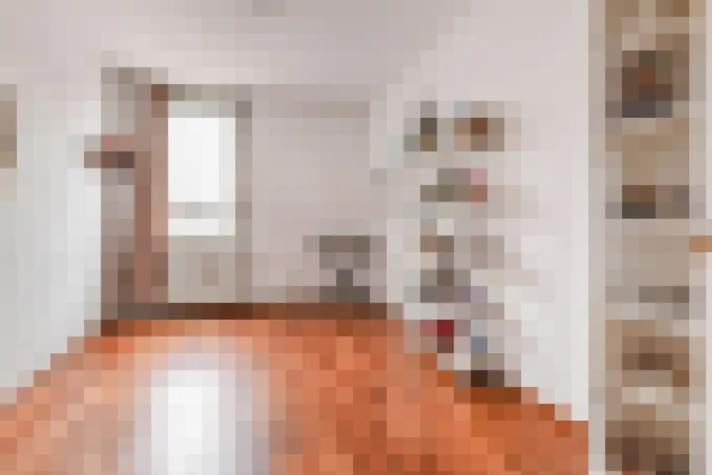 Melis Stokezijde 232 Den Haag thumbnail 14