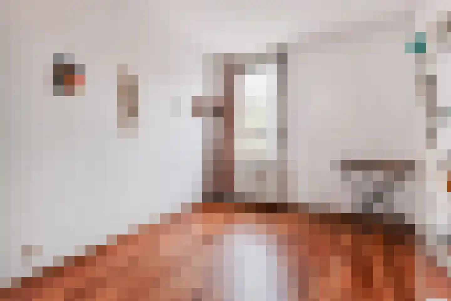 Melis Stokezijde 232 Den Haag thumbnail 15