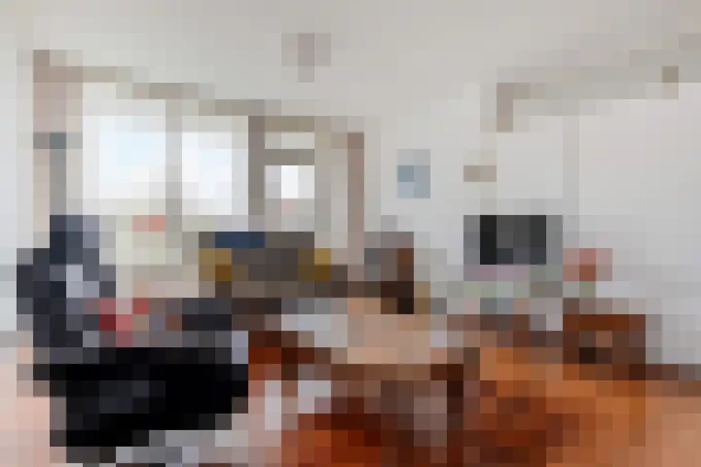 Melis Stokezijde 232 Den Haag thumbnail 4