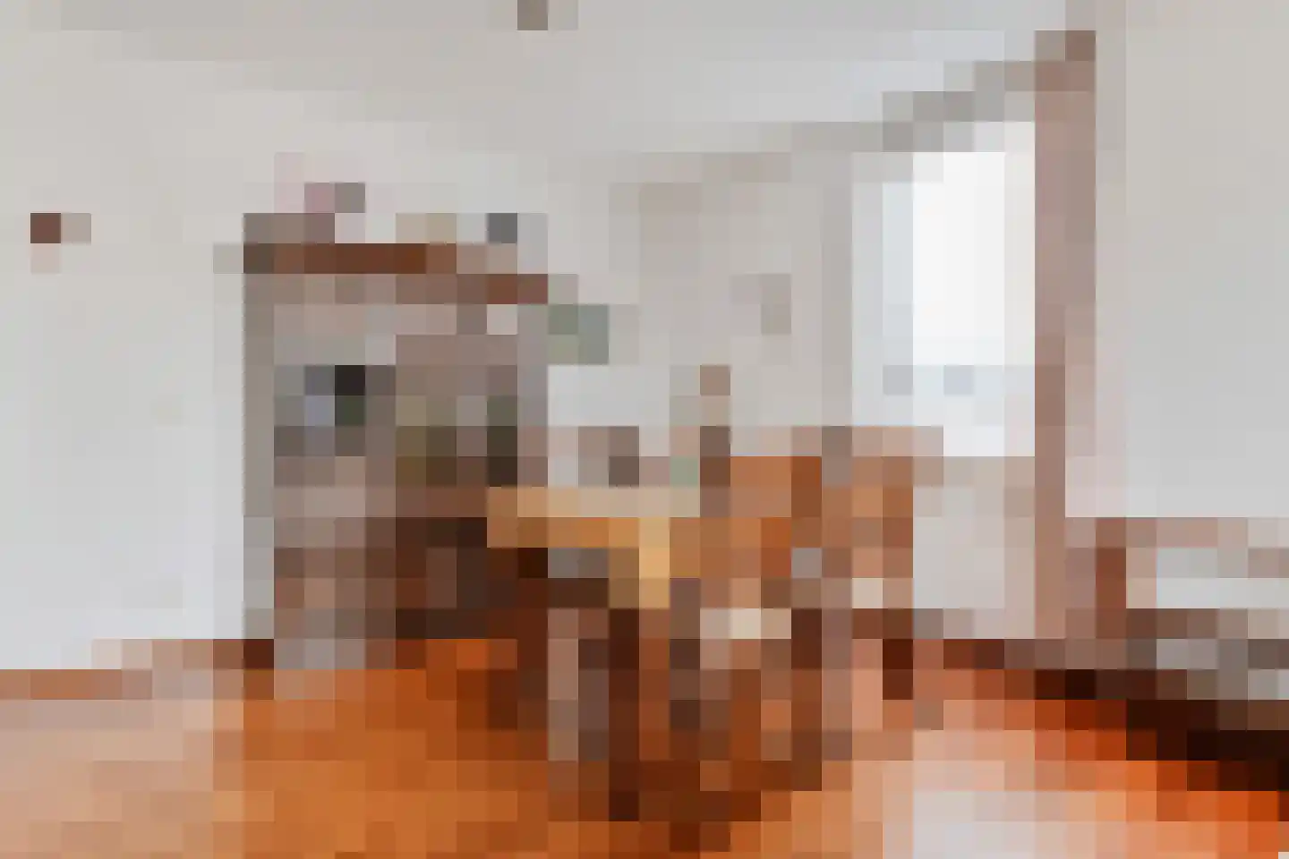 Melis Stokezijde 232 Den Haag thumbnail 7