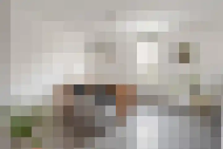 Melis Stokezijde 234 Den Haag thumbnail 10