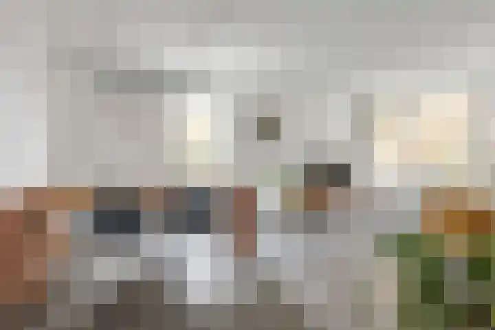 Melis Stokezijde 234 Den Haag thumbnail 11