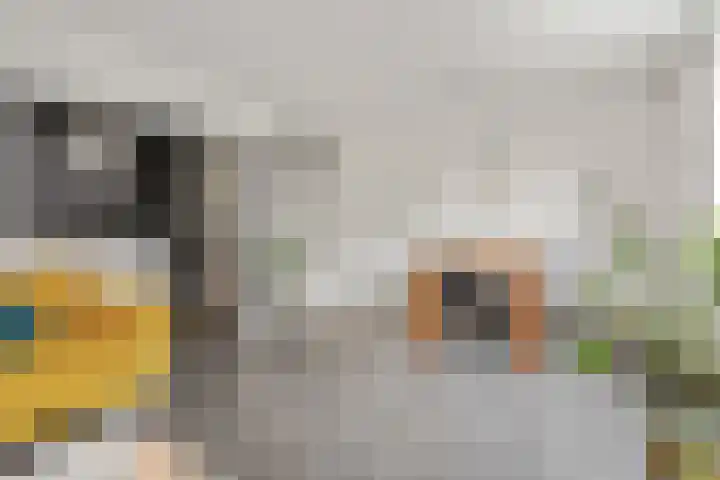 Melis Stokezijde 234 Den Haag thumbnail 12