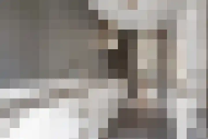 Melis Stokezijde 234 Den Haag thumbnail 13