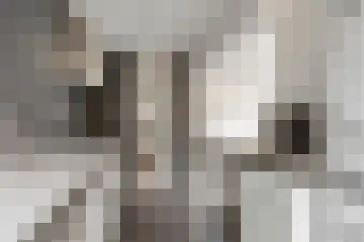 Melis Stokezijde 234 Den Haag thumbnail 14