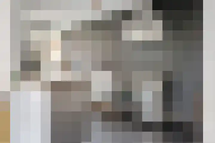 Melis Stokezijde 234 Den Haag thumbnail 15