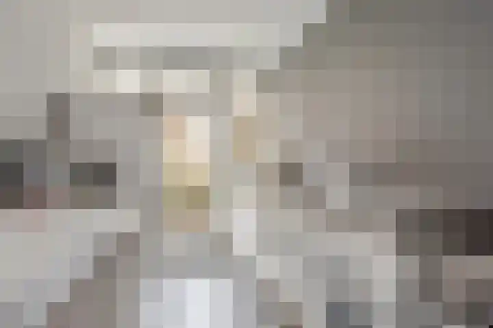 Melis Stokezijde 234 Den Haag thumbnail 16