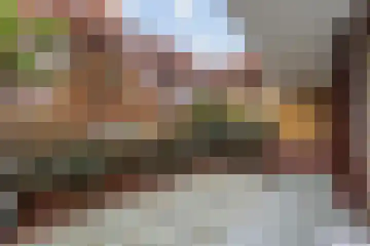 Melis Stokezijde 234 Den Haag thumbnail 17