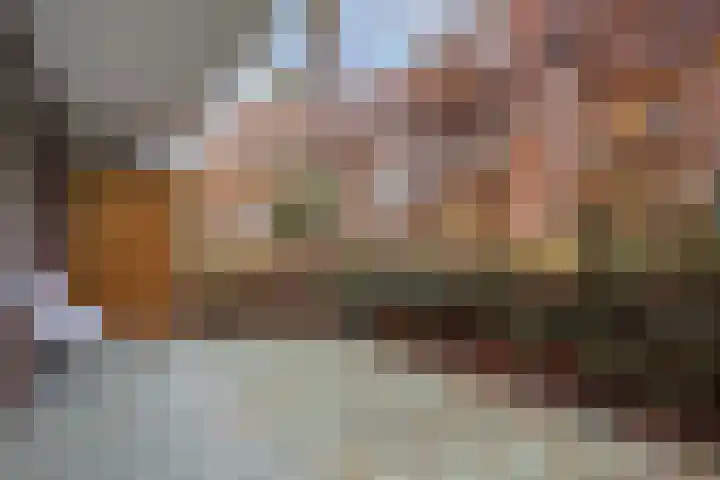 Melis Stokezijde 234 Den Haag thumbnail 18