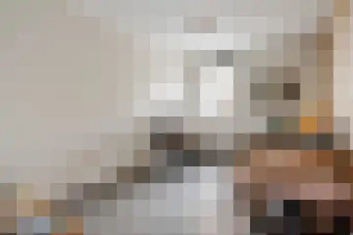 Melis Stokezijde 234 Den Haag thumbnail 21