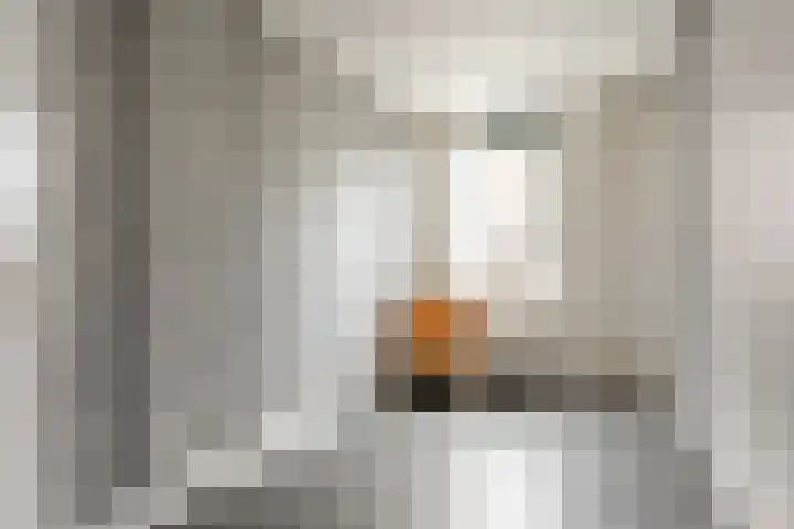 Melis Stokezijde 234 Den Haag thumbnail 22
