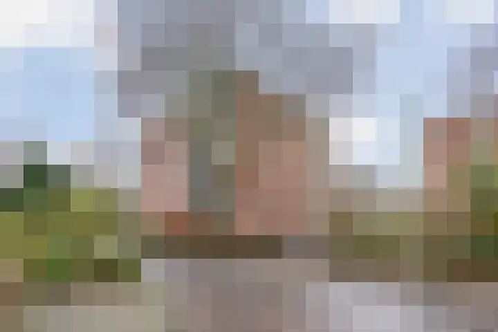 Melis Stokezijde 234 Den Haag thumbnail 26