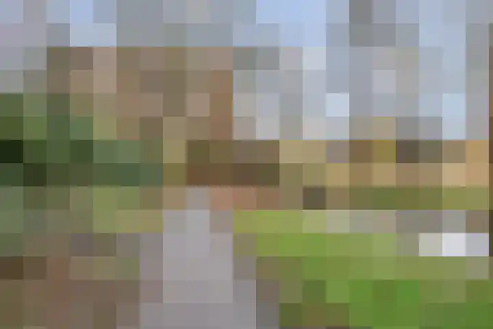 Melis Stokezijde 234 Den Haag thumbnail 31