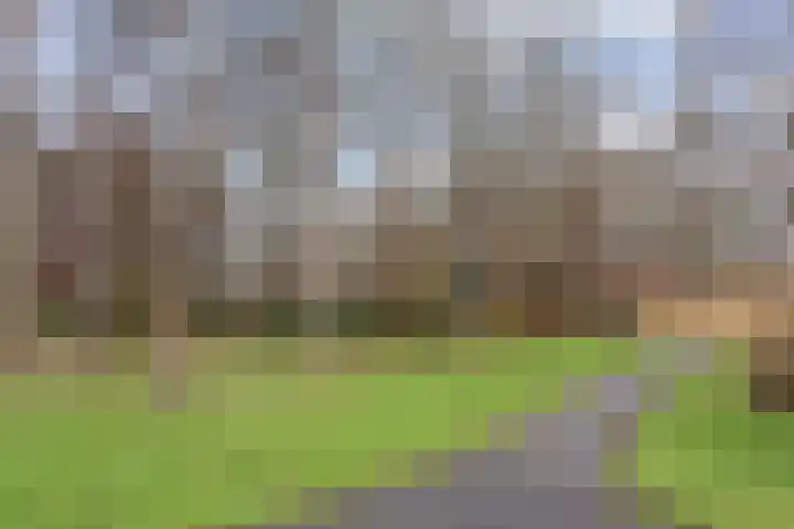 Melis Stokezijde 234 Den Haag thumbnail 33
