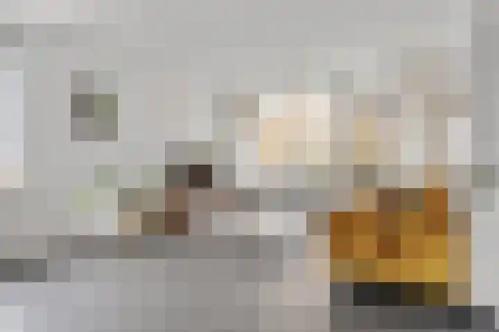 Melis Stokezijde 234 Den Haag thumbnail 9