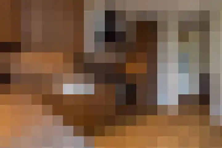 Melis Stokezijde 260 Den Haag thumbnail 13