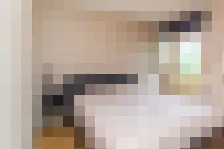 Melis Stokezijde 260 Den Haag thumbnail 17