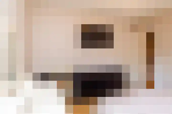Melis Stokezijde 260 Den Haag thumbnail 18