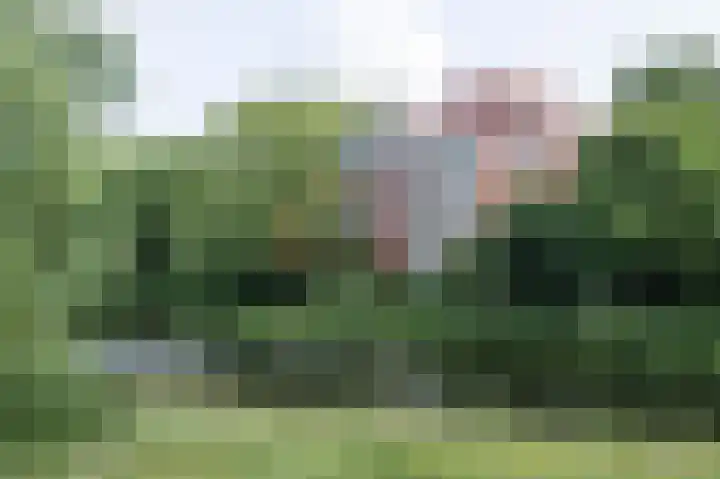 Melis Stokezijde 260 Den Haag thumbnail 28
