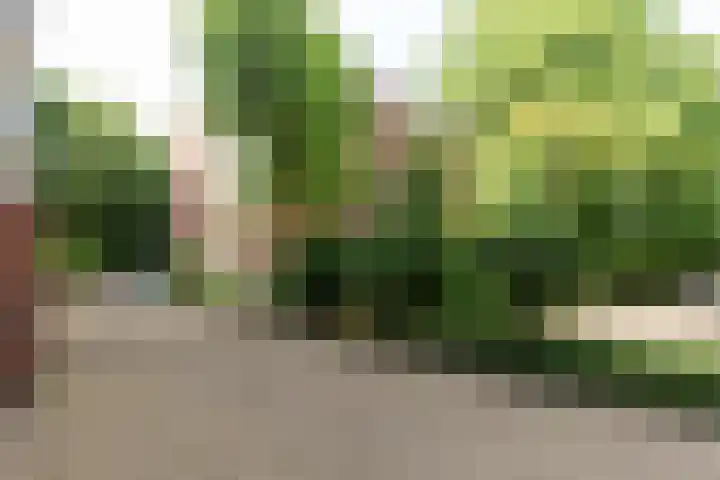 Melis Stokezijde 260 Den Haag thumbnail 29