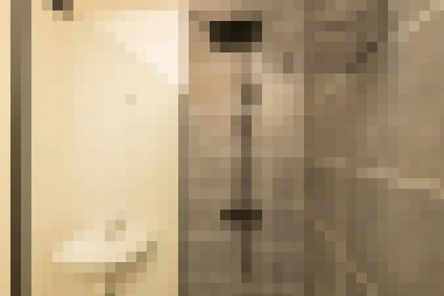 Melis Stokezijde 38 Den Haag thumbnail 19