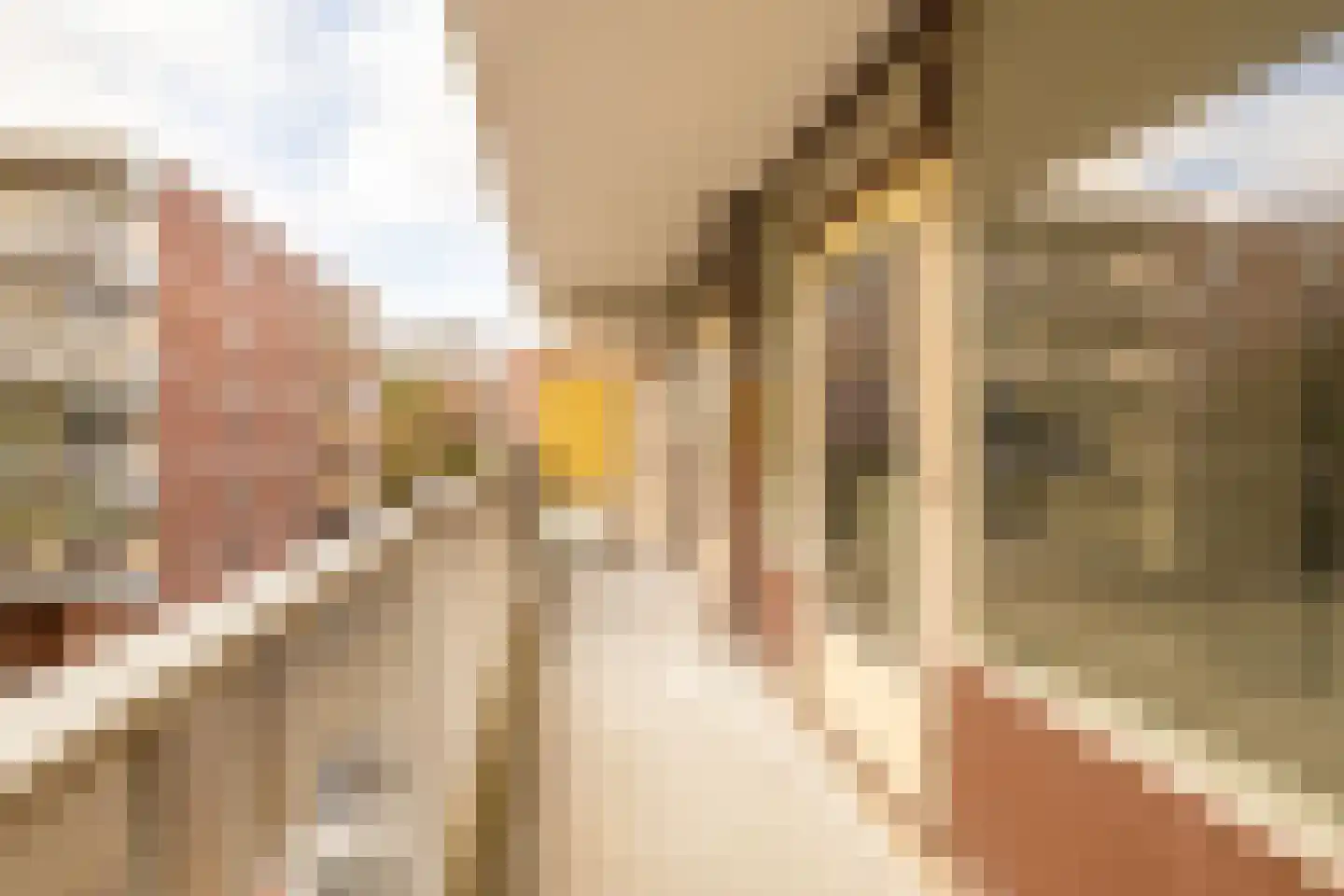 Melis Stokezijde 38 Den Haag thumbnail 25
