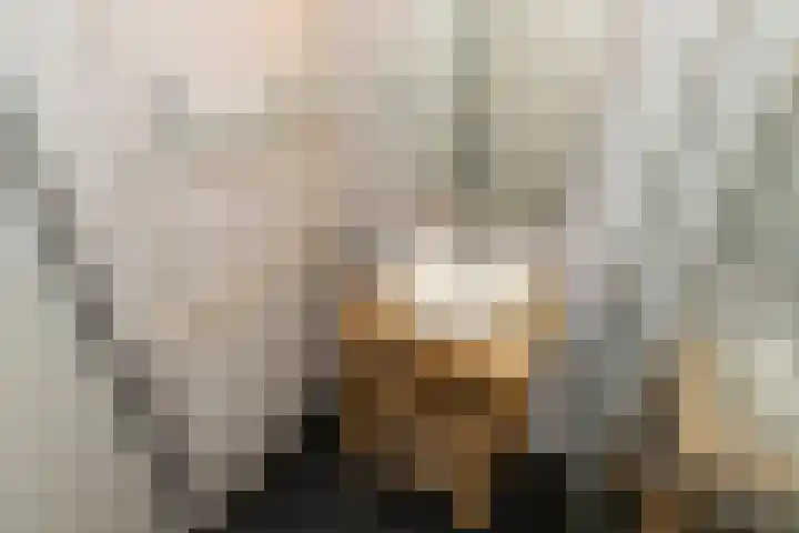 Melis Stokezijde 39 Den Haag thumbnail 17