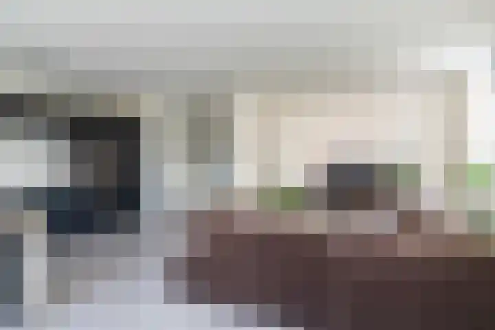 Melis Stokezijde 39 Den Haag thumbnail 7
