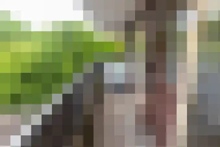 Melis Stokezijde 44 Den Haag thumbnail 13
