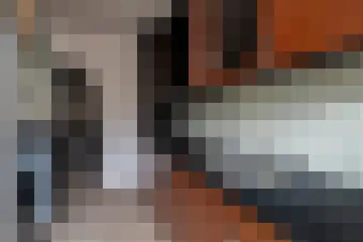 Melis Stokezijde 44 Den Haag thumbnail 15