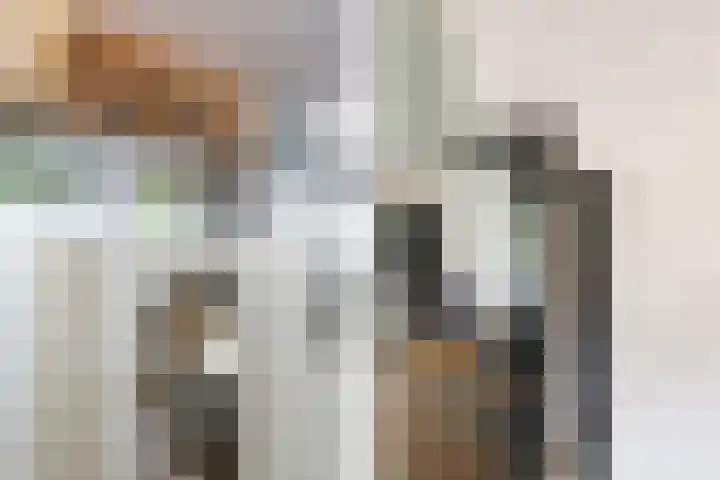 Melis Stokezijde 44 Den Haag thumbnail 16