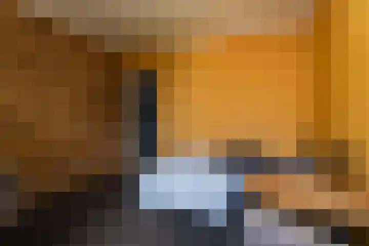 Melis Stokezijde 44 Den Haag thumbnail 19