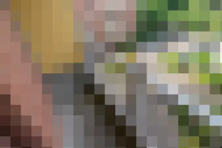 Melis Stokezijde 44 Den Haag thumbnail 21