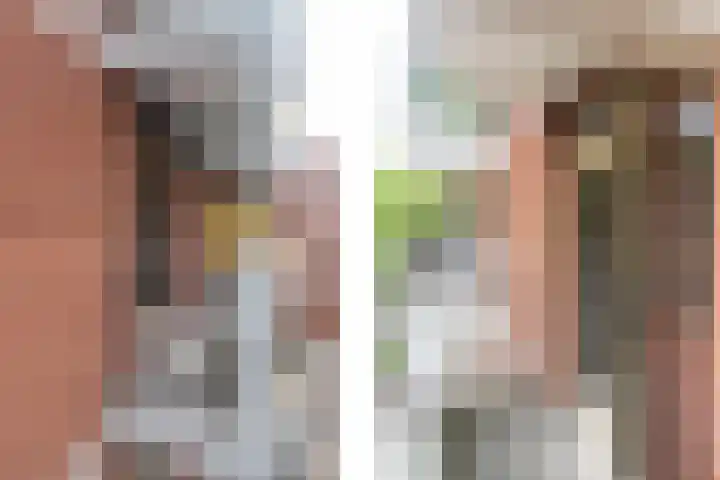 Melis Stokezijde 44 Den Haag thumbnail 22