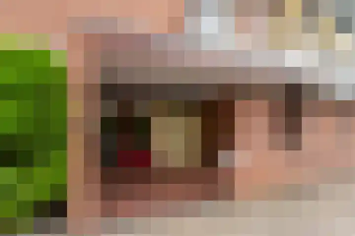 Melis Stokezijde 44 Den Haag thumbnail 24