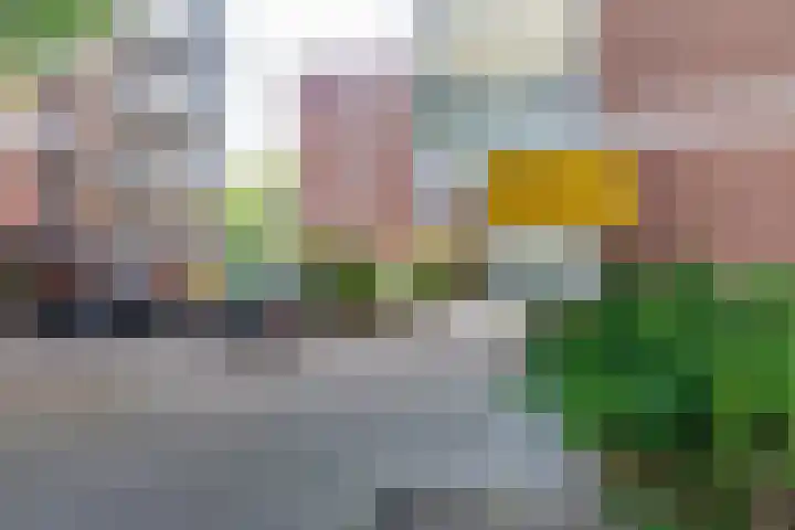 Melis Stokezijde 44 Den Haag thumbnail 27