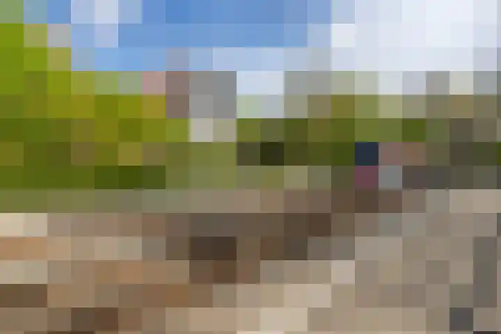 Melis Stokezijde 44 Den Haag thumbnail 28