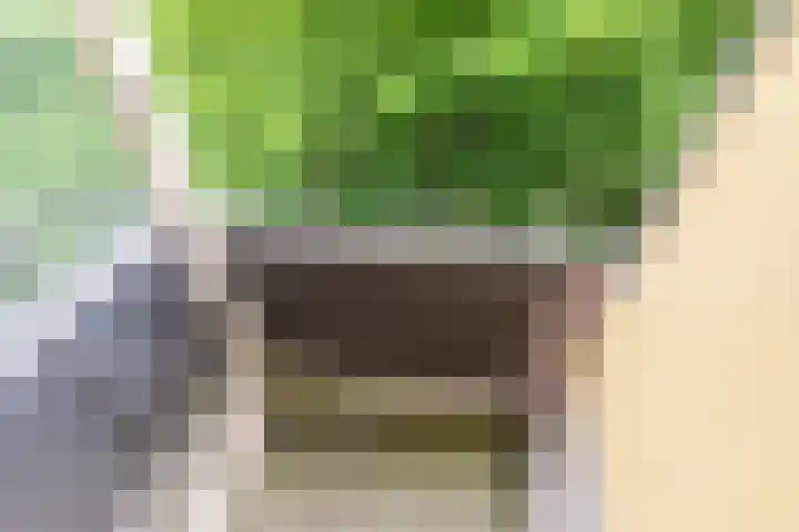 Melis Stokezijde 44 Den Haag thumbnail 6